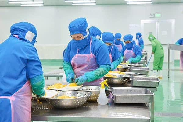 Business activity photo 14